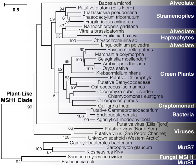 Fig. 7.