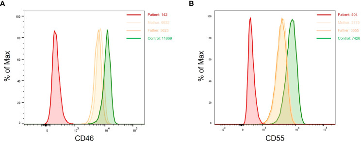 Figure 5