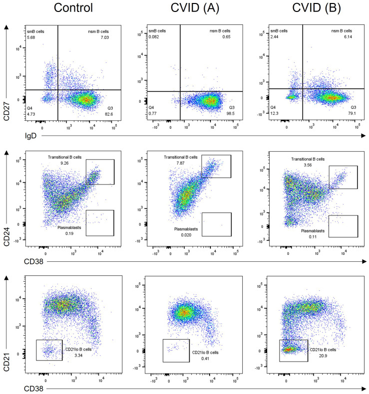 Figure 4