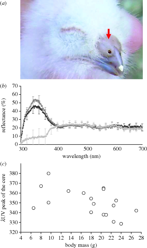 Figure 1.