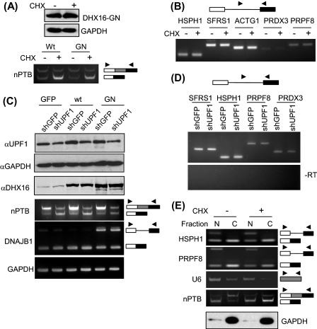 FIGURE 4.