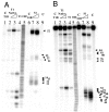 Fig. 5.