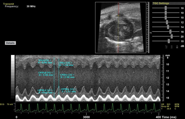 Fig. 1.