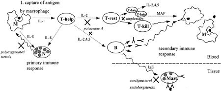 Figure 5