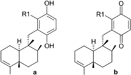 Figure 6