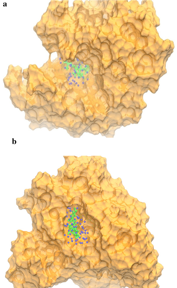 Fig. 5