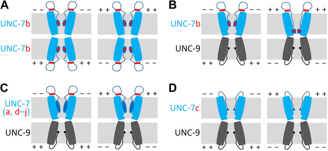 Fig. 6