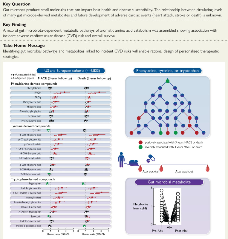 Structured Graphical Abstract