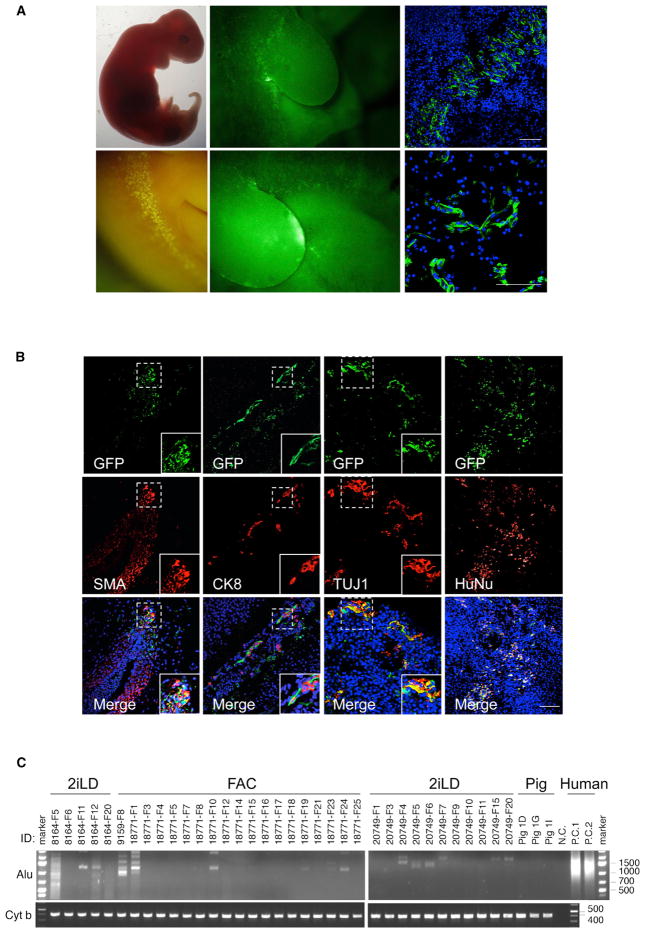 Figure 6