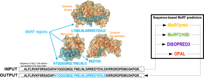 Unlabelled Image