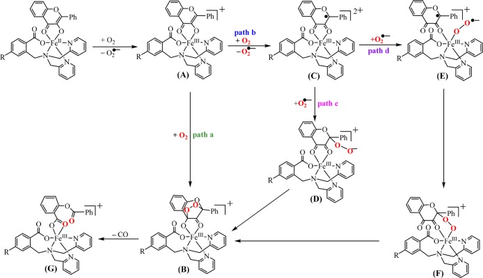 Scheme 3