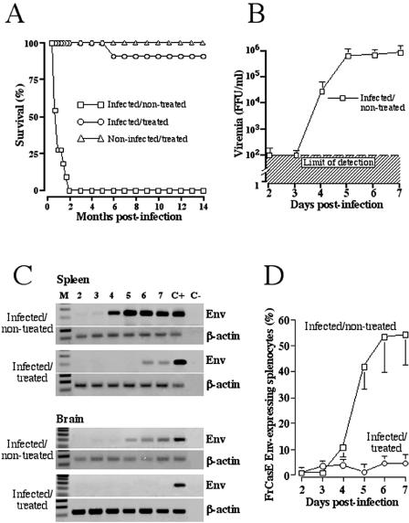 FIG. 1.