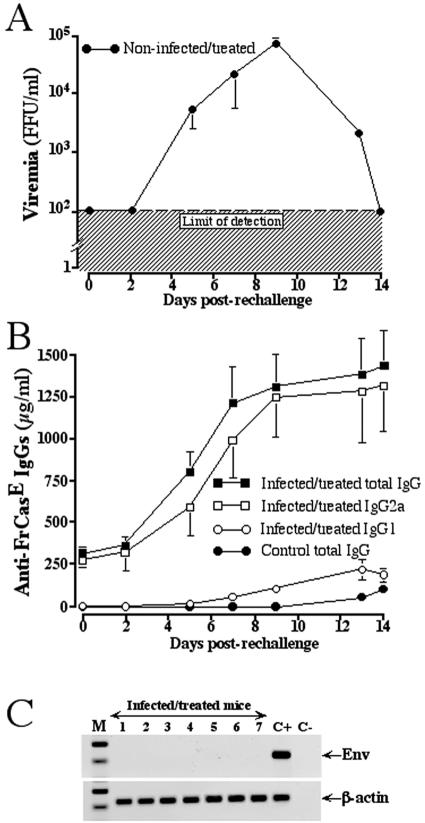 FIG. 4.