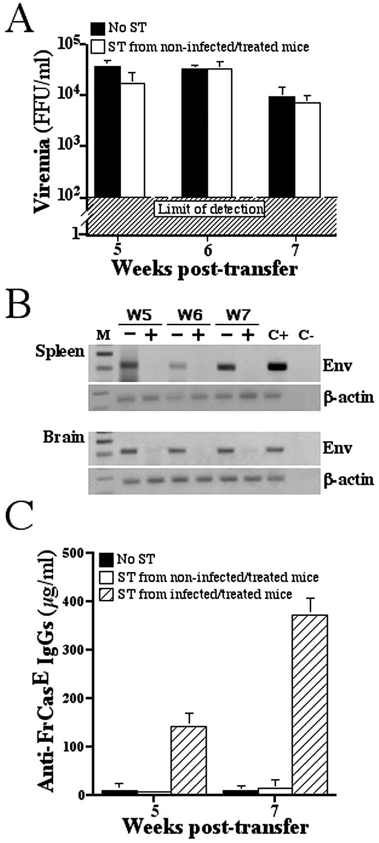 FIG. 5.