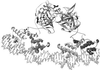 Fig 4.