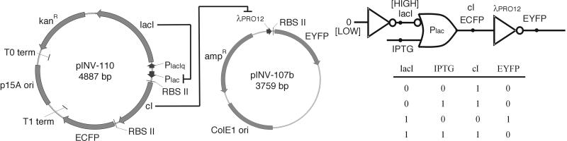 Fig 1.