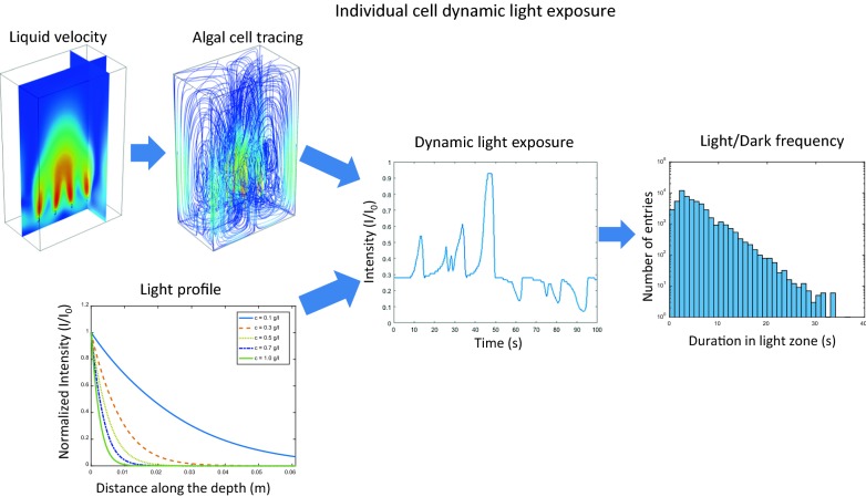 graphic file with name 13068_2018_1147_Figa_HTML.jpg