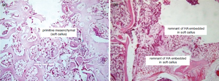 Fig. 2: