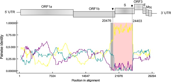 Fig. 1