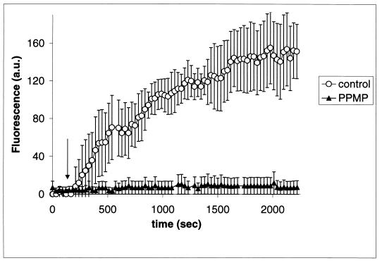 FIG. 6