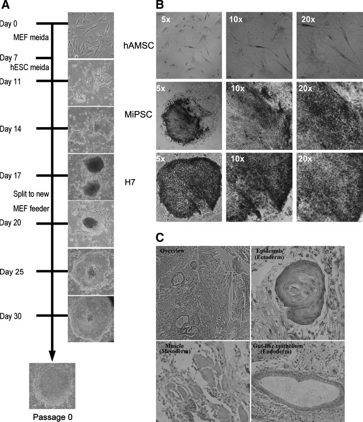 FIG. 2.