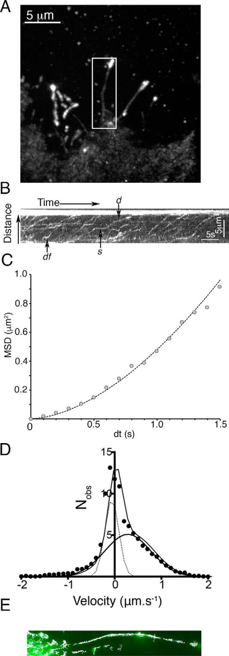 FIGURE 4.