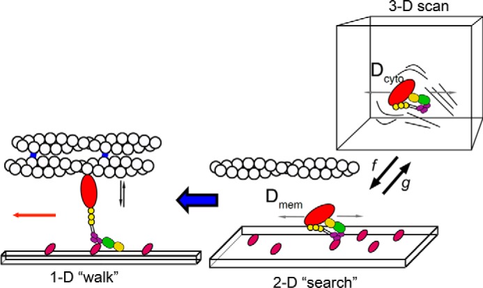 FIGURE 7.