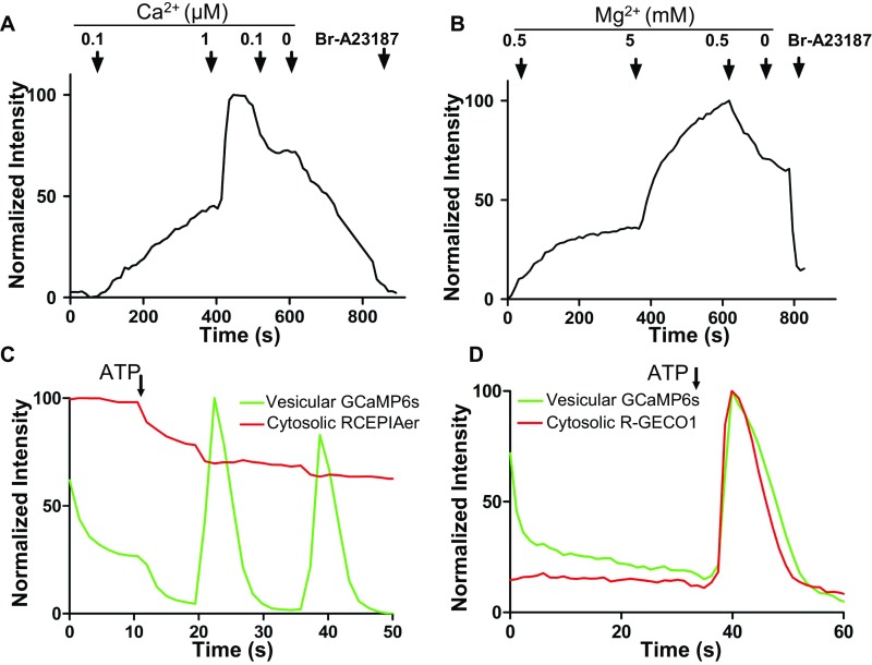 Fig. S4.