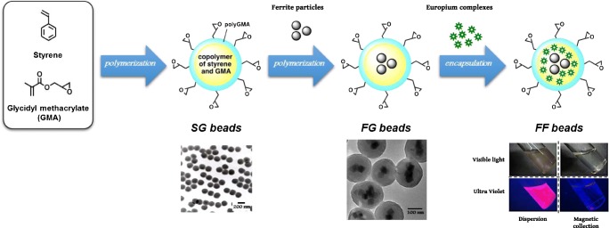 Fig. 1