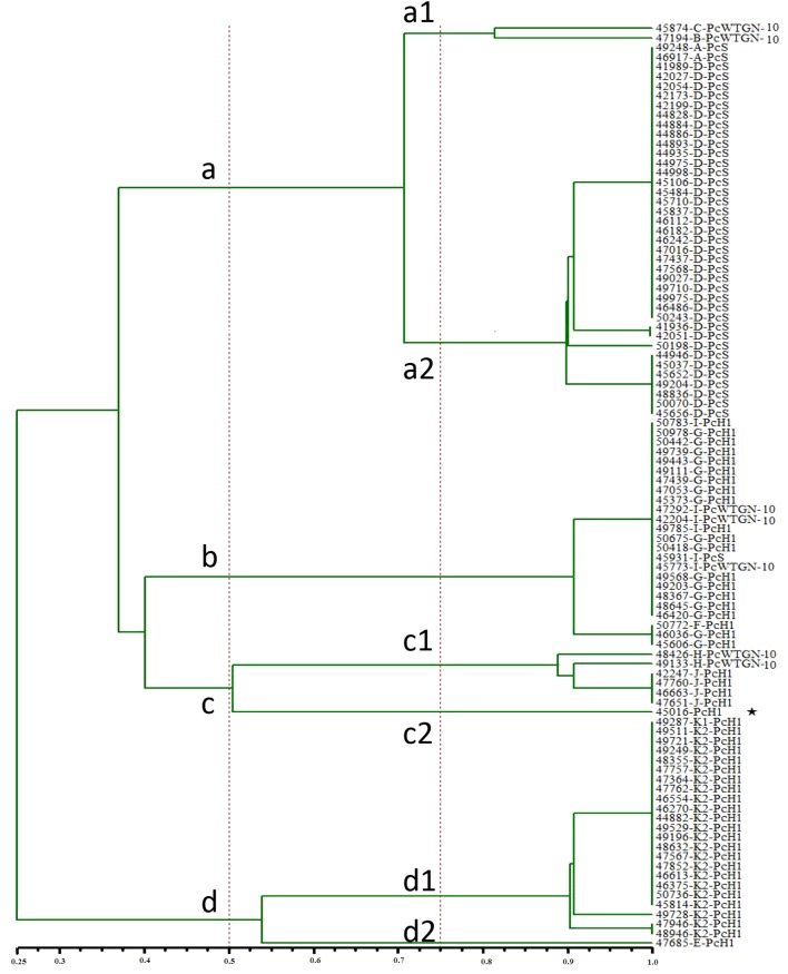 FIGURE 3