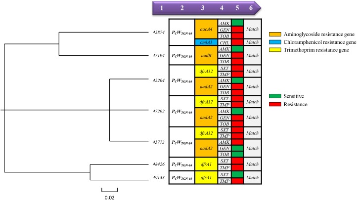 FIGURE 4