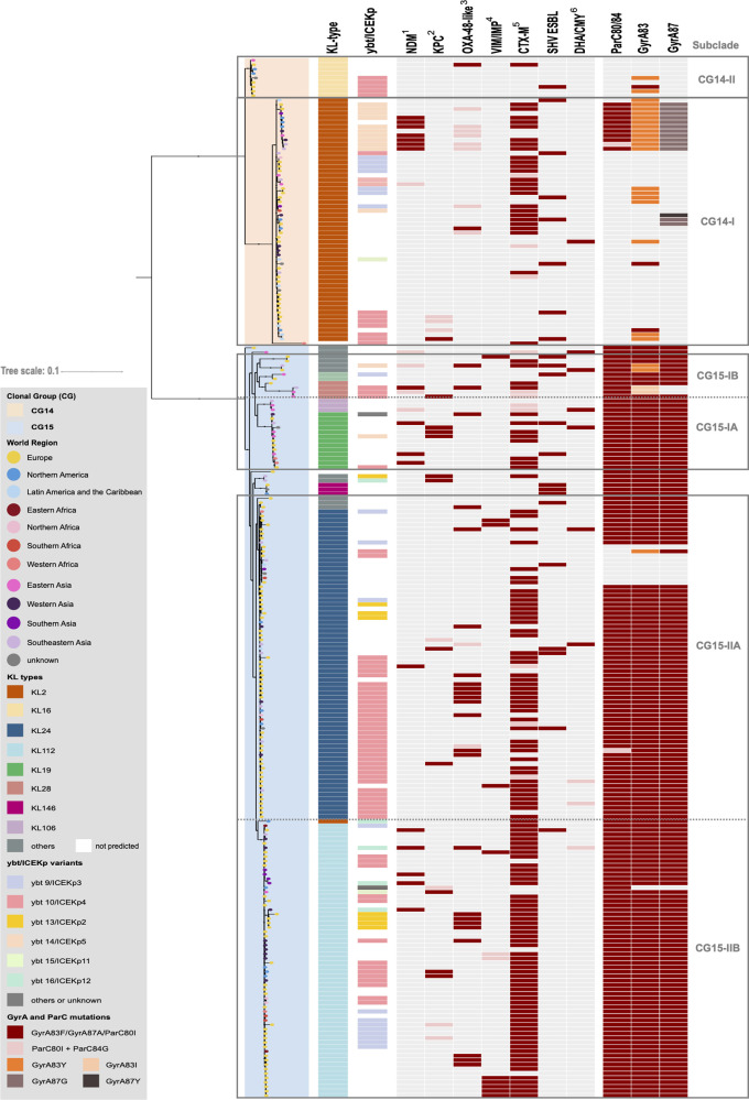 FIG 1