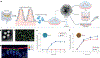 Fig. 3 |