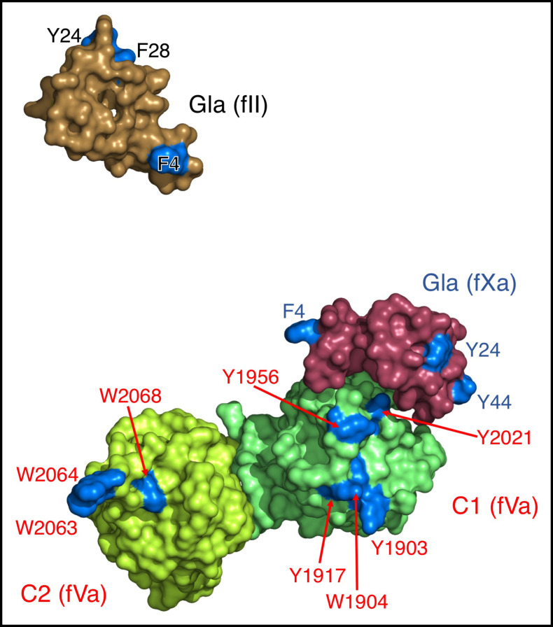 Figure 3.