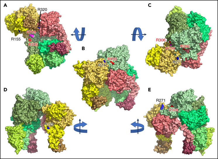 Figure 2.