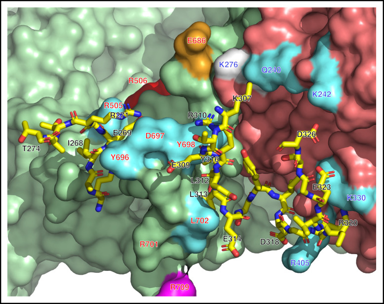 Figure 5.