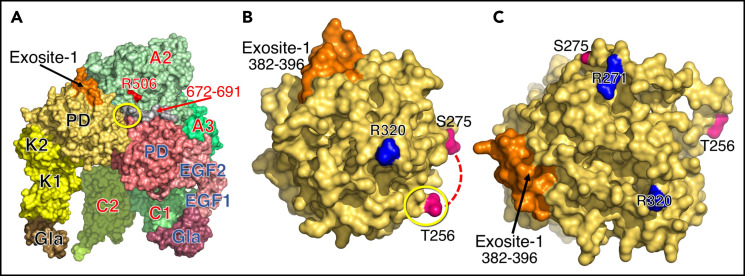 Figure 6.