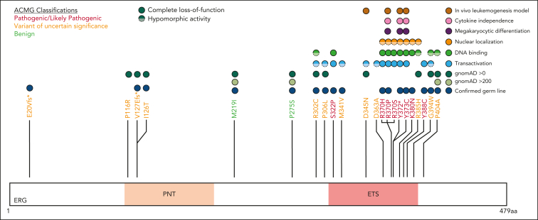 Figure 6.