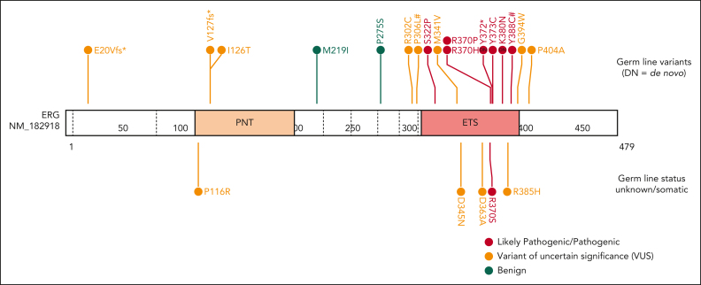 Figure 5.