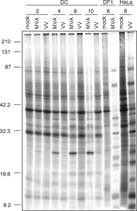 FIG. 5.