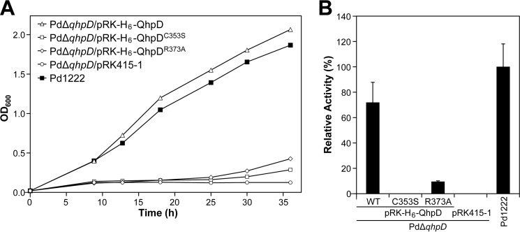 FIGURE 16.