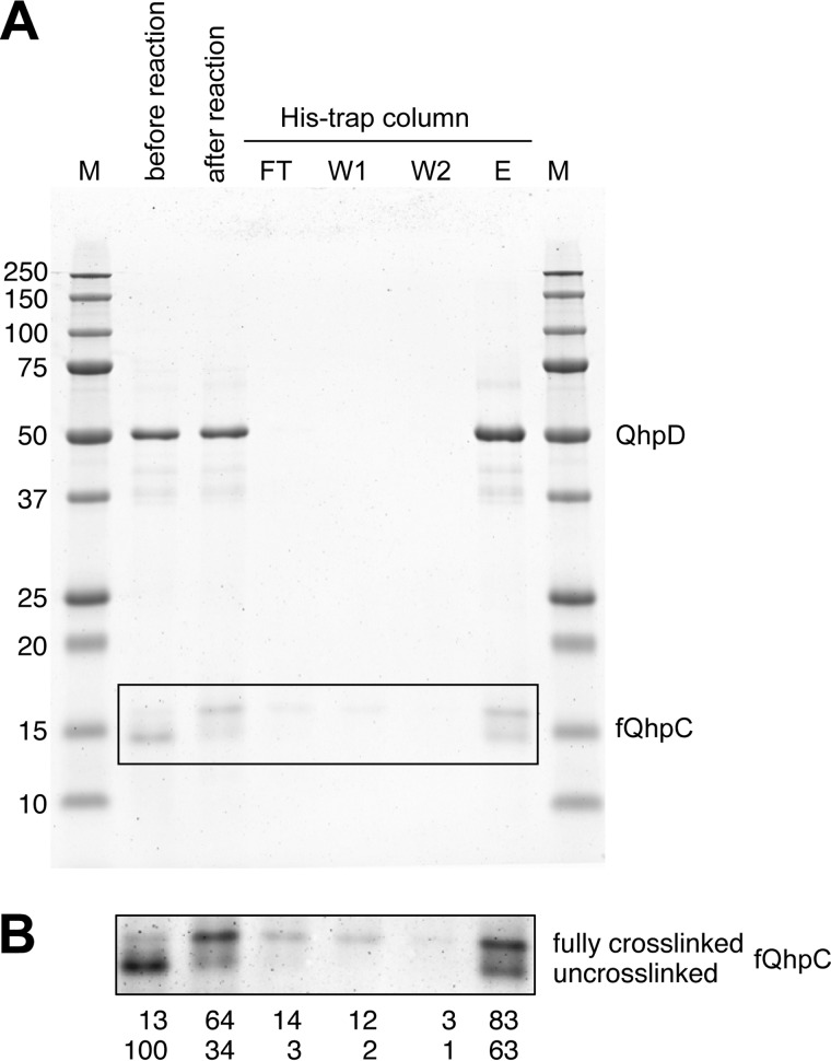 FIGURE 14.