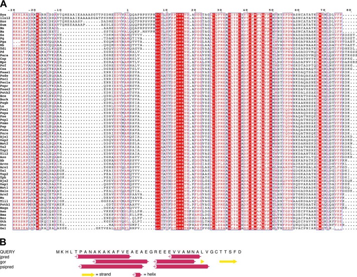 FIGURE 20.