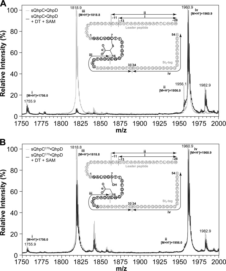 FIGURE 9.