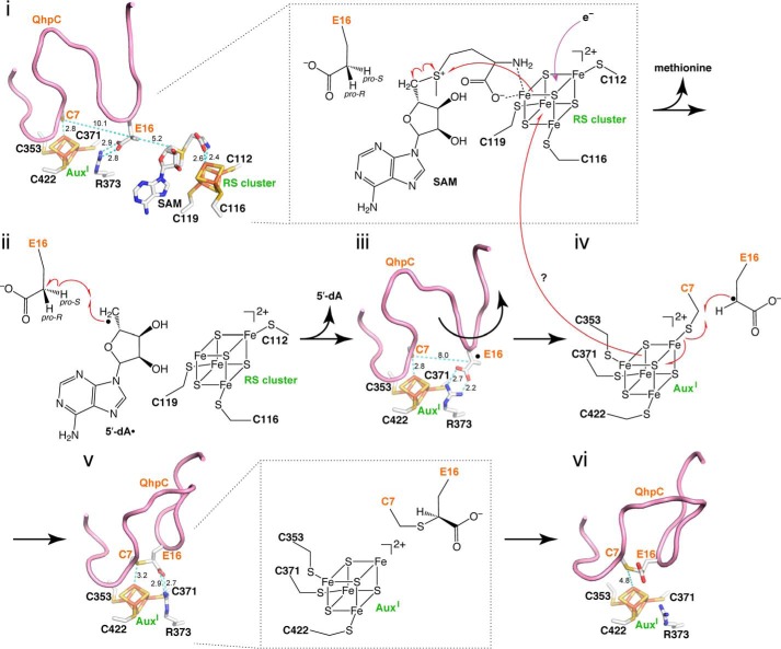 FIGURE 21.