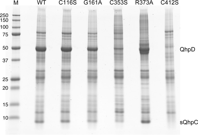 FIGURE 17.