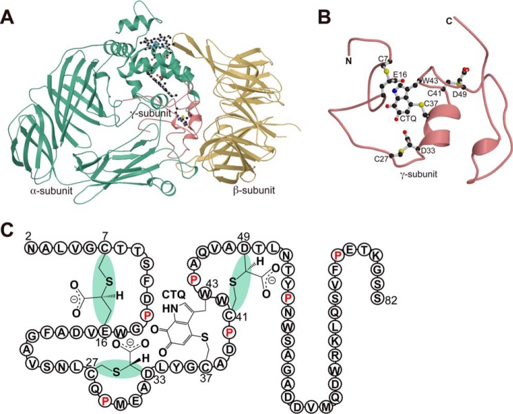 FIGURE 1.