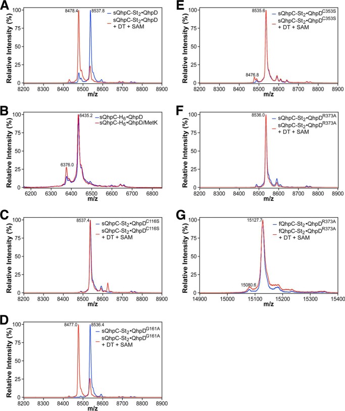 FIGURE 12.