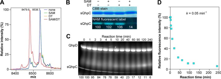 FIGURE 11.