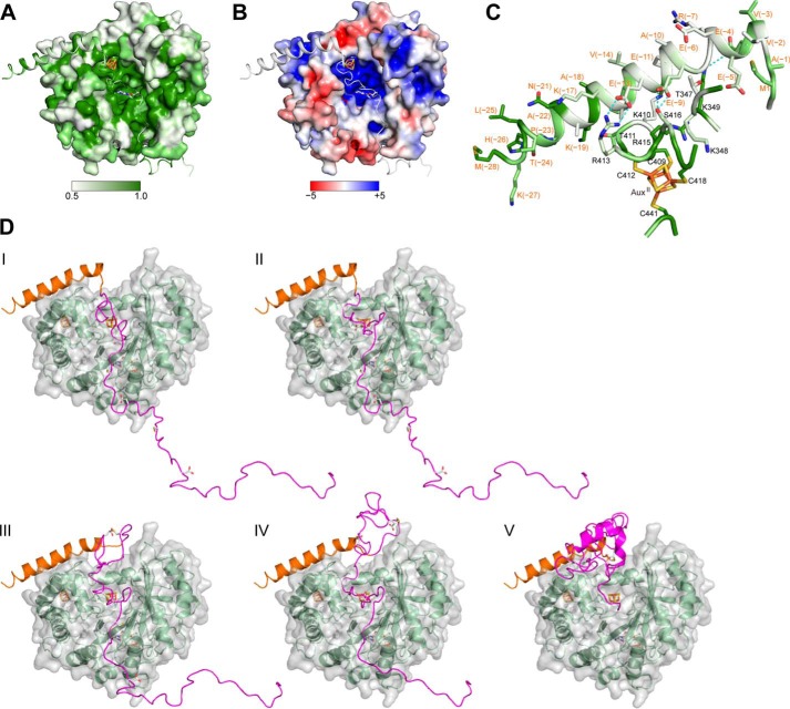 FIGURE 19.